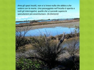 Amo gli spazi incolti, non vi si trova nulla che abbia a che
vedere con la morte. Una passeggiata nell’incolto è aperta a
tutti gli interrogativi, quello che vi succede supera le
speculazioni più avventurose». (G.Clement)
 