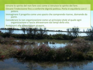 Istruire lo spirito del non fare così come si istruisce lo spirito del fare.
Elevare l’indecisione fino a conferirle dignità politica. Porla in equilibrio con il
      potere.
Immaginare il progetto come uno spazio che comprende riserve, domande da
      porre.
Considerare la non organizzazione come un principio vitale al quale ogni
      organizzazione si lascia attraversare dai lampi della vita.
Avvicinarsi alla diversità con stupore.
 