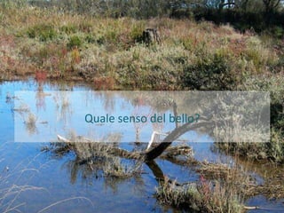 Quale senso del bello?
 
