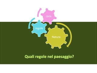 caos


regole

                Natura
 