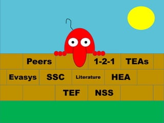 Peers 1-2-1 TEAs
Evasys SSC Literature HEA
TEF NSS
 