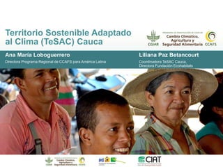 Territorio Sostenible Adaptado
al Clima (TeSAC) Cauca
Ana María Loboguerrero Liliana Paz Betancourt
Directora Programa Reg...