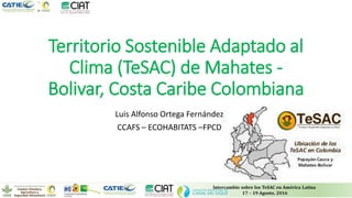 Territorio Sostenible Adaptado al
Clima (TeSAC) de Mahates -
Bolivar, Costa Caribe Colombiana
Luis Alfonso Ortega Fernández
CCAFS – ECOHABITATS –FPCD
 