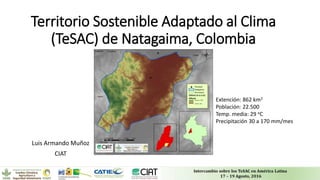 Territorio Sostenible Adaptado al Clima
(TeSAC) de Natagaima, Colombia
Luis Armando Muñoz
CIAT
Extención: 862 km2
Población: 22.500
Temp. media: 29 oC
Precipitación 30 a 170 mm/mes
 