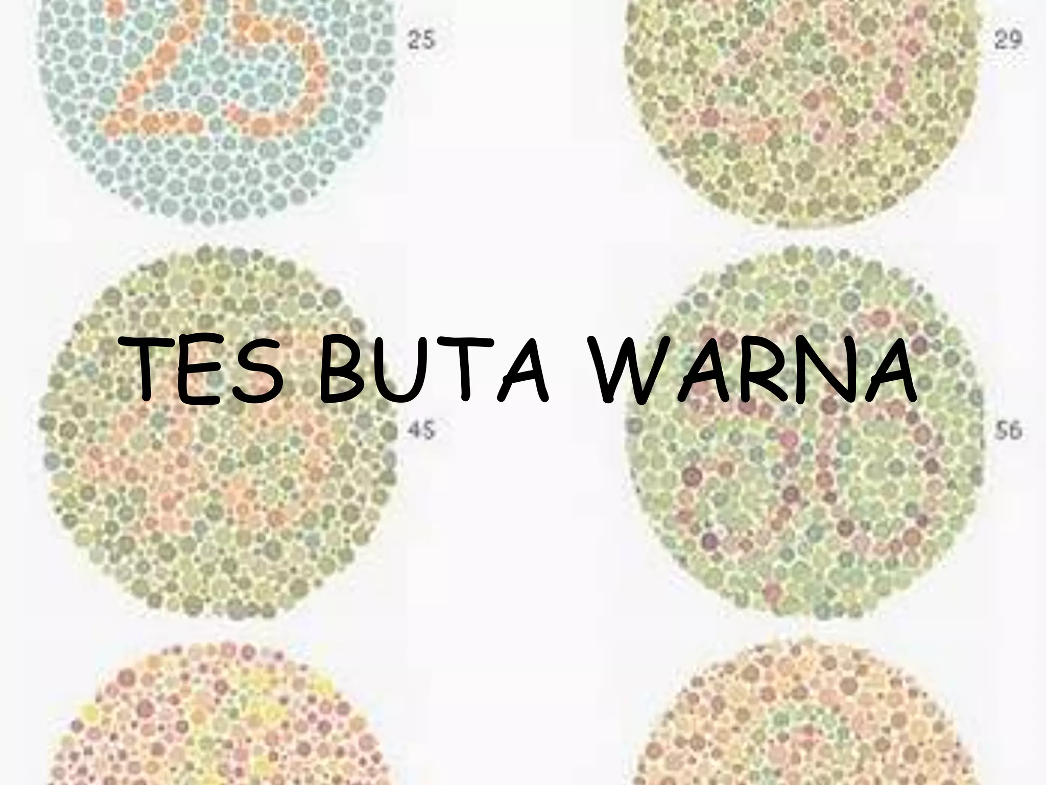 TES BUTA WARNA