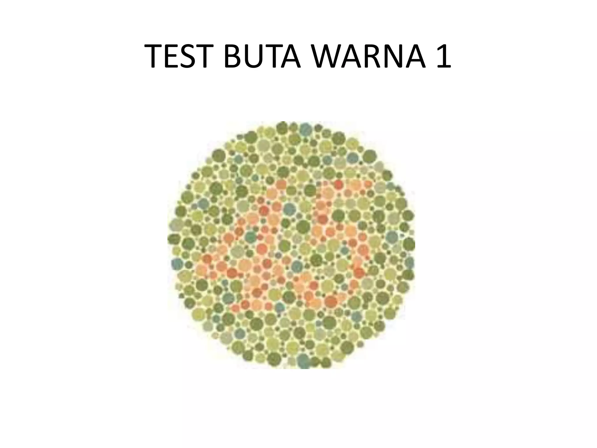 TEST BUTA WARNA 1