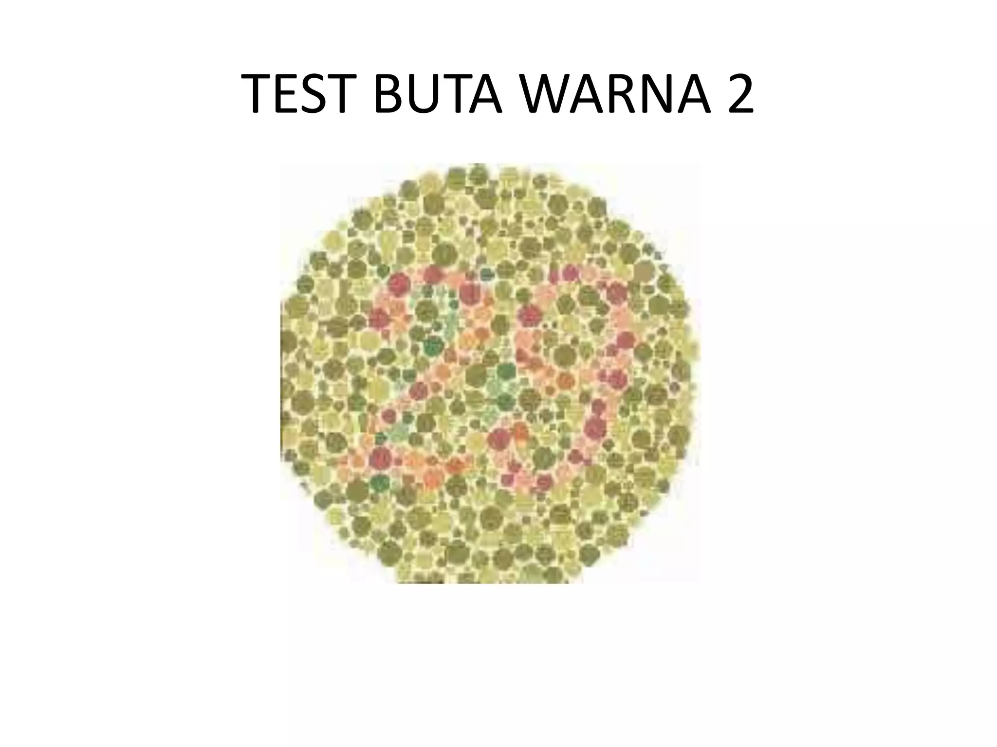TEST BUTA WARNA 2