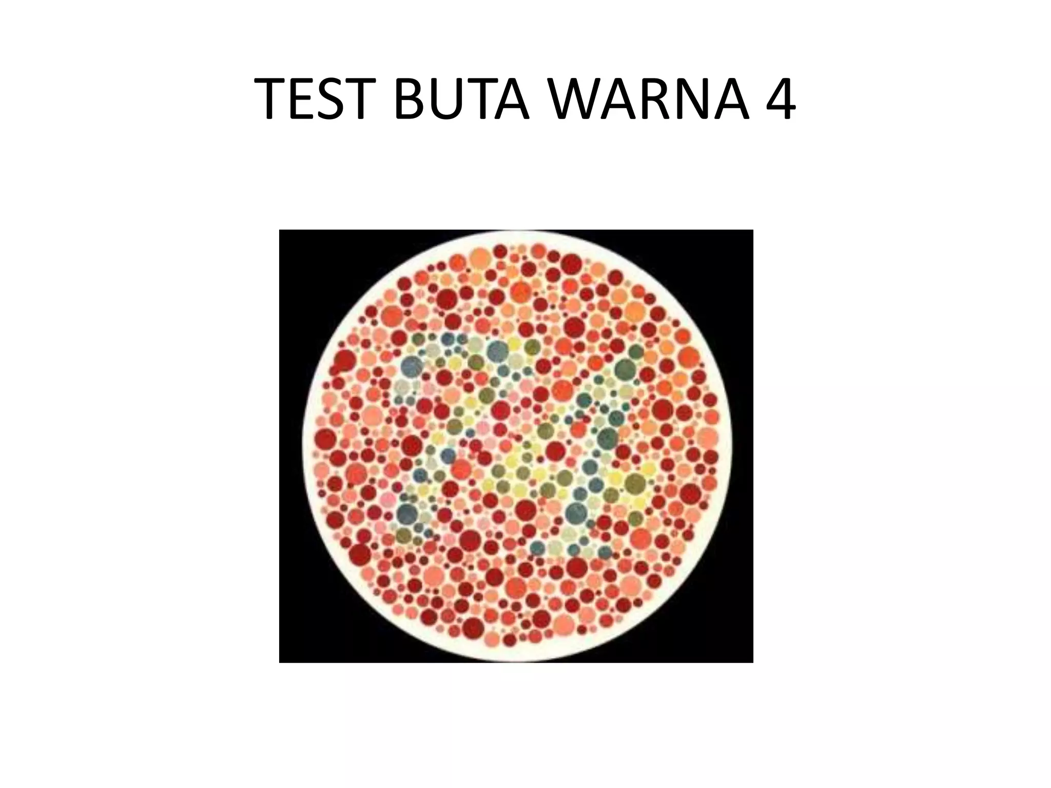 TEST BUTA WARNA 4