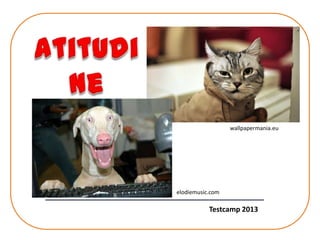 wallpapermania.eu

elodiemusic.com

Testcamp 2013

 