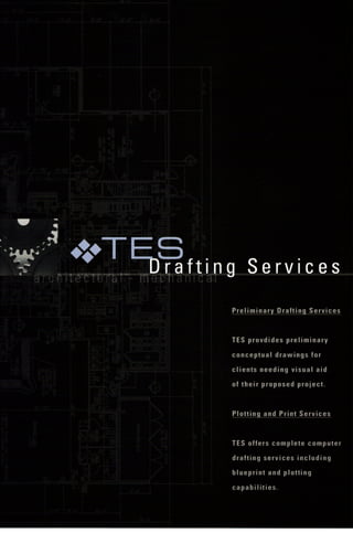 Tes Drafting Services