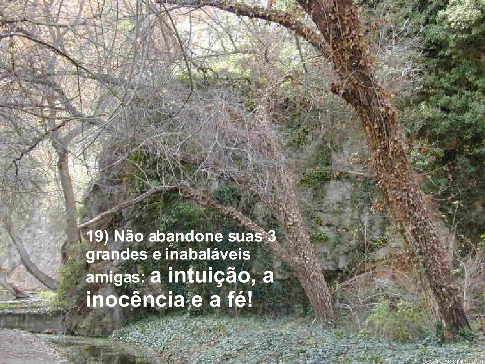 19) Não abandone suas 3 grandes e inabaláveis amigas:  a intuição, a inocência e a fé! 