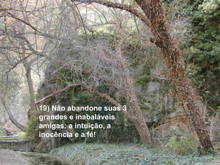 19) Não abandone suas 3
grandes e inabaláveis
amigas: a intuição, a
inocência e a fé!
 