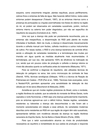3
soqueira, como crescimento irregular, plantas raquíticas, pouco perfilhamento,
colmos finos e sintomas de falta de água. Não havendo déficit hídrico, todos estes
sintomas podem desaparecer (Tokeshi, 1997). Já os sintomas internos como a
presença de pontuações ou vírgulas avermelhadas nos feixes do xilema na região
do nó, só podem ser observados em variedades suscetíveis, porém, nenhum
sintoma interno ou externo tem poder diagnóstico, por não ser específico do
raquitismo da soqueira (Comstock et al., 1997).
Uma vez que a doença não pode ser prontamente reconhecida, pois os
sintomas são inespecíficos, a disseminação do RSD pelo plantio de mudas
infectadas é facilitado. Além da muda, a doença é disseminada mecanicamente
durante a colheita manual com facões, colheita mecânica e outros instrumentos
de cultivo. Por essas razões, o RSD é uma doença bacteriana de controle difícil,
sendo a utilização de variedades resistentes e a termoterapia das mudas por
imersão em água quente as medidas atualmente mais recomendadas. A
termoterapia, por sua vez, não apresenta 100% de eficiência na inativação da
Lxx, sendo que em poucos ciclos de produção e colheita a doença retoma os
níveis tão elevados quanto os verificados antes do tratamento (Matsuoka, 1971).
Para se confirmar a diagnose do raquitismo, são utilizadas técnicas de
detecção do patógeno na seiva, tais como microscopia de contraste de fase
(Steindl, 1976), técnicas sorológicas (Gillaspie, 1978) e a técnica de Reação de
Polimerase em Cadeia – PCR (Pan et al., 1998). Técnicas mais avançadas, como
o Nested-PCR, permitem apresentar uma sensibilidade de detecção de dez
células por ml de seiva (Maccheroni & Matsuoka, 2006)
Acredita-se que em muitas regiões produtoras do Brasil, como o nordeste,
a região litorânea do sudeste, que se extende do noroeste de Minas Gerais, norte
capixaba e norte fluminense, o RSD seja uma doença particularmente importante,
pois os sintomas agravam-se com o déficit hídrico. Nestas regiões, variedades
resistentes ou tolerantes a doença são desconhecidas e não foram até o
momento caracterizadas em relação a esse atributo. As variedades modernas
descritas como resistentes ao RSD em sua região de origem têm sido suscetíveis,
apresentando talhões com incidência elevada da doença na região litorânea
canavieira do Espírito Santo, Sul da Bahia e Oeste Mineiro (Ponte, 2006).
Para que o setor sucroalcooleiro alcance os níveis de produtividade
necessários ao equilíbrio e rentabilidade de sua cadeia de produção e responda
 