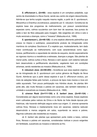 6
S. officinarum L. (2n=80) - essa espécie é um complexo poliplóide, cujo
centro de diversidade é a Nova Guiné, sendo seu centro de origem desconhecido.
Admite-se que tenha surgido naquela mesma região, a partir de S. spontaneum,
Miscanthus e Erianthus arundinaceus, passando por S. robustum. Constitui-se da
espécie base dos programas de melhoramento, por possuir características
especiais como, colmos suculentos com bom teor de sacarose, boa pureza do
caldo e teor de fibra adequado para moagem. São exigentes em clima e solo e
muito sensíveis a doenças, como o "mosaico" (Matsuoka et al., 1999).
S. spontaneum L. (2n=40-128) - é uma espécie altamente polimórfica que
cresce no trópico e subtrópico, possivelmente produto da introgressão entre
membros do complexo Saccharum. É a espécie que, moderadamente, tem dado
maior contribuição ao melhoramento, com suas características como vigor,
dureza, perfilhamento e capacidade de rebrota da soqueira, devido especialmente
ao vigoroso rizoma e a resistência a estresses, doenças e pragas. São plantas de
menor porte, colmos curtos e finos, fibrosos e sem açúcar, com sistema radicular
bem desenvolvido e perfilhamento abundante, vegetando bem em condições
adversas, sendo resistentes ao mosaico (Matsuoka et al., 1999).
S. robustum Jesw. (2n=60-205) - Acredita-se que essa espécie originou-
se da introgressão de S. spontaneum com outros gêneros da Região de Nova
Guiné. Admite-se que a partir dessa espécie é que S. officinarum evoluiu, por
meio de seleções feitas pelo homem, a procura de tipos mais macios e ricos em
caldo açucarado. Tem pouca participação nos híbridos atuais. As plantas têm
porte alto, são muito fibrosas e pobres em sacarose, são também tolerantes à
umidade e suscetíveis ao mosaico (Matsuoka et al., 1999).
S. sinense Roxb (2n=111-120) e S. barberi Jesw. (2n=81-124) -
Consideradas por alguns taxonomistas como uma única espécie. Essas espécies
eram cultivadas pelos nativos da China e do Norte da Índia desde épocas pré-
históricas, não havendo definição segura sobre sua origem. S. sinense apresenta
colmos finos, fibrosos e medianamente ricos em sacarose, sistema radicular
desenvolvido e menos exigente em solos, suportando os secos e pobres.
Algumas cultivares são resistentes ao mosaico.
Já S. barberi são plantas que apresentam porte médio a baixo, colmos
finos, fibrosos e pobres em sacarose, consideradas rústicas e pouco exigentes
em fertilidade, suscetíveis ao mosaico e tolerante ao frio.
 
