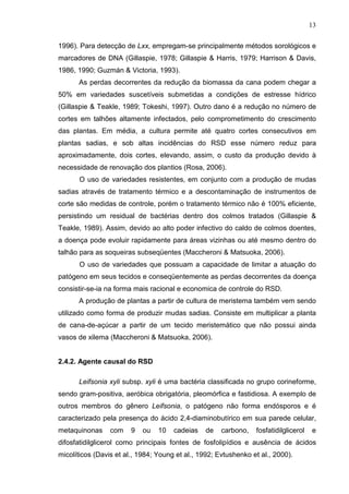 13
1996). Para detecção de Lxx, empregam-se principalmente métodos sorológicos e
marcadores de DNA (Gillaspie, 1978; Gillaspie & Harris, 1979; Harrison & Davis,
1986, 1990; Guzmán & Victoria, 1993).
As perdas decorrentes da redução da biomassa da cana podem chegar a
50% em variedades suscetíveis submetidas a condições de estresse hídrico
(Gillaspie & Teakle, 1989; Tokeshi, 1997). Outro dano é a redução no número de
cortes em talhões altamente infectados, pelo comprometimento do crescimento
das plantas. Em média, a cultura permite até quatro cortes consecutivos em
plantas sadias, e sob altas incidências do RSD esse número reduz para
aproximadamente, dois cortes, elevando, assim, o custo da produção devido à
necessidade de renovação dos plantios (Rosa, 2006).
O uso de variedades resistentes, em conjunto com a produção de mudas
sadias através de tratamento térmico e a descontaminação de instrumentos de
corte são medidas de controle, porém o tratamento térmico não é 100% eficiente,
persistindo um residual de bactérias dentro dos colmos tratados (Gillaspie &
Teakle, 1989). Assim, devido ao alto poder infectivo do caldo de colmos doentes,
a doença pode evoluir rapidamente para áreas vizinhas ou até mesmo dentro do
talhão para as soqueiras subseqüentes (Maccheroni & Matsuoka, 2006).
O uso de variedades que possuam a capacidade de limitar a atuação do
patógeno em seus tecidos e conseqüentemente as perdas decorrentes da doença
consistir-se-ia na forma mais racional e economica de controle do RSD.
A produção de plantas a partir de cultura de meristema também vem sendo
utilizado como forma de produzir mudas sadias. Consiste em multiplicar a planta
de cana-de-açúcar a partir de um tecido meristemático que não possui ainda
vasos de xilema (Maccheroni & Matsuoka, 2006).
2.4.2. Agente causal do RSD
Leifsonia xyli subsp. xyli é uma bactéria classificada no grupo corineforme,
sendo gram-positiva, aeróbica obrigatória, pleomórfica e fastidiosa. A exemplo de
outros membros do gênero Leifsonia, o patógeno não forma endósporos e é
caracterizado pela presença do ácido 2,4-diaminobutírico em sua parede celular,
metaquinonas com 9 ou 10 cadeias de carbono, fosfatidilglicerol e
difosfatidilglicerol como principais fontes de fosfolipídios e ausência de ácidos
micolíticos (Davis et al., 1984; Young et al., 1992; Evtushenko et al., 2000).
 
