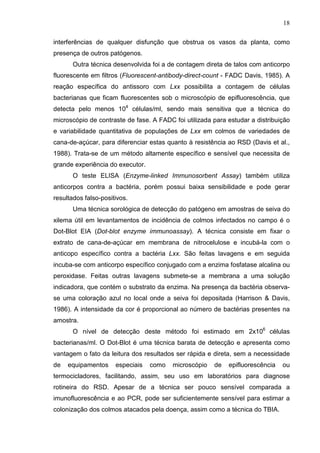 18
interferências de qualquer disfunção que obstrua os vasos da planta, como
presença de outros patógenos.
Outra técnica desenvolvida foi a de contagem direta de talos com anticorpo
fluorescente em filtros (Fluorescent-antibody-direct-count - FADC Davis, 1985). A
reação específica do antissoro com Lxx possibilita a contagem de células
bacterianas que ficam fluorescentes sob o microscópio de epifluorescência, que
detecta pelo menos 104
células/ml, sendo mais sensitiva que a técnica do
microscópio de contraste de fase. A FADC foi utilizada para estudar a distribuição
e variabilidade quantitativa de populações de Lxx em colmos de variedades de
cana-de-açúcar, para diferenciar estas quanto à resistência ao RSD (Davis et al.,
1988). Trata-se de um método altamente específico e sensível que necessita de
grande experiência do executor.
O teste ELISA (Enzyme-linked Immunosorbent Assay) também utiliza
anticorpos contra a bactéria, porém possui baixa sensibilidade e pode gerar
resultados falso-positivos.
Uma técnica sorológica de detecção do patógeno em amostras de seiva do
xilema útil em levantamentos de incidência de colmos infectados no campo é o
Dot-Blot EIA (Dot-blot enzyme immunoassay). A técnica consiste em fixar o
extrato de cana-de-açúcar em membrana de nitrocelulose e incubá-la com o
anticopo específico contra a bactéria Lxx. São feitas lavagens e em seguida
incuba-se com anticorpo específico conjugado com a enzima fosfatase alcalina ou
peroxidase. Feitas outras lavagens submete-se a membrana a uma solução
indicadora, que contém o substrato da enzima. Na presença da bactéria observa-
se uma coloração azul no local onde a seiva foi depositada (Harrison & Davis,
1986). A intensidade da cor é proporcional ao número de bactérias presentes na
amostra.
O nível de detecção deste método foi estimado em 2x106
células
bacterianas/ml. O Dot-Blot é uma técnica barata de detecção e apresenta como
vantagem o fato da leitura dos resultados ser rápida e direta, sem a necessidade
de equipamentos especiais como microscópio de epifluorescência ou
termocicladores, facilitando, assim, seu uso em laboratórios para diagnose
rotineira do RSD. Apesar de a técnica ser pouco sensível comparada a
imunofluorescência e ao PCR, pode ser suficientemente sensível para estimar a
colonização dos colmos atacados pela doença, assim como a técnica do TBIA.
 