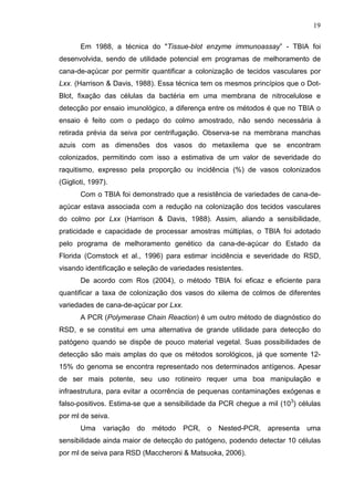 19
Em 1988, a técnica do "Tissue-blot enzyme immunoassay” - TBIA foi
desenvolvida, sendo de utilidade potencial em programas de melhoramento de
cana-de-açúcar por permitir quantificar a colonização de tecidos vasculares por
Lxx. (Harrison & Davis, 1988). Essa técnica tem os mesmos princípios que o Dot-
Blot, fixação das células da bactéria em uma membrana de nitrocelulose e
detecção por ensaio imunológico, a diferença entre os métodos é que no TBIA o
ensaio é feito com o pedaço do colmo amostrado, não sendo necessária à
retirada prévia da seiva por centrifugação. Observa-se na membrana manchas
azuis com as dimensões dos vasos do metaxilema que se encontram
colonizados, permitindo com isso a estimativa de um valor de severidade do
raquitismo, expresso pela proporção ou incidência (%) de vasos colonizados
(Giglioti, 1997).
Com o TBIA foi demonstrado que a resistência de variedades de cana-de-
açúcar estava associada com a redução na colonização dos tecidos vasculares
do colmo por Lxx (Harrison & Davis, 1988). Assim, aliando a sensibilidade,
praticidade e capacidade de processar amostras múltiplas, o TBIA foi adotado
pelo programa de melhoramento genético da cana-de-açúcar do Estado da
Florida (Comstock et al., 1996) para estimar incidência e severidade do RSD,
visando identificação e seleção de variedades resistentes.
De acordo com Ros (2004), o método TBIA foi eficaz e eficiente para
quantificar a taxa de colonização dos vasos do xilema de colmos de diferentes
variedades de cana-de-açúcar por Lxx.
A PCR (Polymerase Chain Reaction) é um outro método de diagnóstico do
RSD, e se constitui em uma alternativa de grande utilidade para detecção do
patógeno quando se dispõe de pouco material vegetal. Suas possibilidades de
detecção são mais amplas do que os métodos sorológicos, já que somente 12-
15% do genoma se encontra representado nos determinados antígenos. Apesar
de ser mais potente, seu uso rotineiro requer uma boa manipulação e
infraestrutura, para evitar a ocorrência de pequenas contaminações exógenas e
falso-positivos. Estima-se que a sensibilidade da PCR chegue a mil (103
) células
por ml de seiva.
Uma variação do método PCR, o Nested-PCR, apresenta uma
sensibilidade ainda maior de detecção do patógeno, podendo detectar 10 células
por ml de seiva para RSD (Maccheroni & Matsuoka, 2006).
 