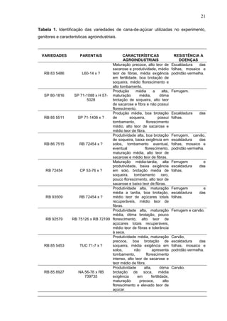 21
Tabela 1. Identificação das variedades de cana-de-açúcar utilizadas no experimento,
genitores e características agroindustriais.
VARIEDADES PARENTAIS CARACTERÍSTICAS
AGROINDUSTRIAIS
RESISTÊNCIA A
DOENÇAS
RB 83 5486 L60-14 x ?
Maturação precoce, alto teor de
sacarose e produtividade, médio
teor de fibras, média exigência
em fertilidade, boa brotação de
soqueira, médio florescimento e
alto tombamento.
Escaldadura das
folhas, mosaico e
podridão vermelha.
SP 80-1816 SP 71-1088 x H 57-
5028
Produção média a alta,
maturação média, ótima
brotação de soqueira, alto teor
de sacarose e fibra e não possui
florescimento.
Ferrugem.
RB 85 5511
.
SP 71-1406 x ?
Produção média, boa brotação
de soqueira, possui
tombamento, florescimento
médio, alto teor de sacarose e
médio teor de fibra.
Escaldadura das
folhas.
RB 86 7515 RB 72454 x ?
Produtividade alta, boa brotação
de soqueira, baixa exigência em
solos, tombamento eventual,
eventual florescimento,
maturação média, alto teor de
sacarose e médio teor de fibras.
Ferrugem, carvão,
escaldadura das
folhas, mosaico e
podridão vermelha.
RB 72454 CP 53-76 x ?
Maturação média-tardia, alta
produtividade, baixa exigência
em solo, brotação média de
soqueira, tombamento raro,
pouco florescimento, alto teor de
sacarose e baixo teor de fibras.
Ferrugem e
escaldadura das
folhas.
RB 93509 RB 72454 x ?
Produtividade alta, maturação
média a tardia, boa brotação,
médio teor de açúcares totais
recuperáveis, médio teor de
fibras.
Ferrugem e
escaldadura das
folhas.
RB 92579 RB 75126 x RB 72199
Produtividade alta, maturação
média, ótima brotação, pouco
florescimento, alto teor de
açúcares totais recuperáveis,
médio teor de fibras e tolerância
à seca.
Ferrugem e carvão.
RB 85 5453 TUC 71-7 x ?
Produtividade média, maturação
precoce, boa brotação de
soqueira, média exigência em
solos, não apresenta
tombamento, florescimento
intenso, alto teor de sacarose e
teor médio de fibra.
Carvão,
escaldadura das
folhas, mosaico e
podridão vermelha.
RB 85 8927 NA 56-76 x RB
739735
Produtividade alta, ótima
brotação de soca, média
exigência em fertilidade,
maturação precoce, alto
florescimento e elevado teor de
açúcar.
Carvão.
 