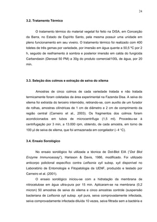 24
3.2. Tratamento Térmico
O tratamento térmico do material vegetal foi feito na DISA, em Conceição
da Barra, no Estado de Espírito Santo, pela mesma possuir uma unidade em
pleno funcionamento em seu viveiro. O tratamento térmico foi realizado com 400
toletes de três gemas por variedade, por imersão em água quente a 50,5 ºC por 2
h, seguido de resfriamento à sombra e posterior imersão em calda do fungicida
Carbendasin (Derosal 50 PM) a 30g do produto comercial/100L de água, por 20
min.
3.3. Seleção dos colmos e extração de seiva do xilema
Amostras de cinco colmos de cada variedade tratada e não tratada
termicamente foram coletadas da área experimental na Fazenda Disa. A seiva do
xilema foi extraída do terceiro internódio, retirando-se, com auxílio de um furador
de rolhas, amostras cilíndricas de 1 cm de diâmetro e 2 cm de comprimento da
região central (Carneiro et al., 2003). Os fragmentos dos colmos foram
acondicionados em tubos de microcentrífuga (1,5 ml). Procedeu-se à
centrifugação por 3 min, a 13.000 rpm, obtendo, de cada amostra, em torno de
100 µl de seiva de xilema, que foi armazenada em congelador (- 4 °C).
3.4. Ensaio Sorológico
No ensaio sorológico foi utilizada a técnica de Dot-Blot EIA (“Dot Blot
Enzyme Immunoassay”), Harisson & Davis, 1986, modificado. Foi utilizado
anticorpo policlonal específico contra Leifsonia xyli subsp. xyli disponível no
Laboratório de Entomologia e Fitopatologia da UENF, produzido e testado por
Carneiro et al. (2001).
O ensaio sorológico iniciou-se com a hidratação da membrana de
nitrocelulose em água ultra-pura por 15 min. Aplicaram-se na membrana (0,2
micron) 50 amostras de seiva do xilema e cinco amostras controle (suspensão
bacteriana de Leifsonia xyli subsp. xyli pura, seiva comprovadamente infectada,
seiva comprovadamente infectada diluída 10 vezes, seiva filtrada sem a bactéria e
 