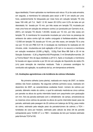 25
água destilada). Foram aplicadas na membrana sob vácuo 10 µl de cada amostra;
em seguida, a membrana foi colocada para secar a 80° C em estufa por uma
hora, posteriormente foi bloqueada por meia hora em solução tampão TS (tris
base 100 mM, pH 7,4; NaCl 1,5 M; tween 20 0,5%) com 0,3% de leite em pó
desnatado; foi lavada por 10 min, por três vezes em tampão TS; incubada por
mais uma hora em solução de antissoro contra Lxx (produzido por Carneiro et al.,
2001), em tampão TS diluído 1:20.000, lavada por 10 min, por três vezes em
tampão TS. A membrana foi novamente incubada por uma hora na presença de
antissoro de cabra contra IgG de coelho conjugado à fosfatase-alcalina, diluído
1:2.000 em tampão TS; lavada por 10 min, por três vezes, em tampão TS e uma
vez por 15 min em PBS 0,01 M. A revelação da membrana foi realizada em 40
minutos, onde incubandou-se (sob agitação a 60 rpm e no escuro) a membrana
em solução reveladora (0,006 g MgCl2, 0,02g Fast Blue BB Salt e 20 ml de
Solução Substrato - 0,30 g Naphthol-AS-Phosphate; 5 ml Dimethylformamide; 24
g Trizma Base/1 litro de água destilada a pH 9,1). Após a incubação a membrana
foi lavada em água corrente e por 30 min em solução de Hipoclorito de sódio 2%
(v/v) para remoção de manchas residuais. Todo o processo sorológico foi
conduzido sob agitação, na ausência de luz, em temperatura ambiente.
3.5. Avaliações agronômicas e da incidência de colmos infectados
Na primeira colheita (cana planta), realizada em março de 2007, os dados
obtidos não foram avaliados. Na segunda colheita (primeira soca), realizada em
dezembro de 2007, as características avaliadas foram: número de colmos por
parcela; diâmetro médio do colmo, o qual foi estimado medindo-se cinco colmos
por parcela na altura do quinto internódio basal com paquímetro com graduação
em mm; °brix da parcela estimado com o refratômetro de campo, amostrando-se
os mesmos cinco colmos da parcela na altura do quinto internódio basal; peso da
parcela, estimado pela pesagem de 20 colmos em balança de 50 Kg; peso médio
do colmo, estimado pela relação peso da parcela/número de colmos; o TCH –
toneladas de cana por hectare, estimado pelo cálculo da área útil da parcela
extrapolando para 10.000 m2
; e o TBH – toneladas de brix por hectare estimado
pela fórmula TCH*e/100.
 