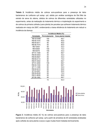 28
Tabela 2. Incidência média de colmos soro-positivos para a presença de talos
bacterianos de Leifsonia xyli subsp. xyli, obtida por análise sorológica de Dot Blot de
extrato de seiva do xilema, obtidos de colmos de diferentes variedades utilizadas no
experimento, antes da realização do tratamento térmico e implantação do experimento e
de colmos da primeira colheita (cana planta) de parcelas que sofreram tratamento térmico
realizada em março de 2007, evidenciando a baixa eficiência do tratamento em reduzir a
incidência da doença.
Incidência Média (%)
Variedade Pré-tratamento Cana planta tratada
RB 83-5486 100 66,7
RB 80-1616 100 60,0
RB 85-5511 60 60,0
RB 86-7515 60 60,0
RB 72454 60 53,3
RB 93509 100 73,3
RB 92579 100 53,3
SP 91-1049 60 66,7
RB 85-5453 40 53,3
RB 85-8927 60 53,3
RB 85-5113 80 73,3
RB 87-2552 80 66,7
SP 81-3250 100 66,7
RB 93-1530 80 66,7
SP 71-1406 60 53,3
RB 84-5210 60 60,0
SP 83-2847 60 60,0
RB 85-8539 60 73,3
RB 91-8639 60 60,0
SP 80-1842 60 66,7
72 62,3
40,00
60,00
80,00
100,00
RB83-5486
RB80-1616
RB85-5511
RB86-7515
RB72454
RB93509
RB92579
SP91-1049
RB85-5453
RB85-8927
RB85-5113
RB87-2552
SP81-3250
RB93-1530
SP71-1406
RB84-5210
SP83-2847
RB85-8539
RB91-8639
SP80-1842
Variedades
IC(%)
Cana planta
Cana soca
Figura 3. Incidência média (IC %) de colmos soro-positivos para a presença de talos
bacterianos de Leifsonia xyli subsp. xyli a partir de amostras de 20 variedades analisadas
após colheita da cana planta e soca e cujas mudas foram tratadas termicamente.
 