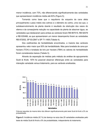 31
menor incidência, com 73%, não diferenciando significativamente das variedades
que apresentaram incidência média até 83% (Figura 5).
Tomando como base que o raquitismo da soqueira da cana afeta
principalmente o peso médio dos colmos e o diâmetro do colmo, uma vez que, o
subdesenvolvimento da planta doente é resultado da obstrução dos vasos do
xilema e da conseqüente redução na capacidade da planta de absorver água, as
variedades que destacaram para ambas as variáveis foram RB 867515, RB 92579
e RB 835486, as que apresentaram um menor desempenho foram as variedades
RB 872552, SP 83-2847 e SP 71-1406 (Tabela 4).
Dos coeficientes de herdabilidade encontrados, a maioria das variáveis
apresentou valor maior que 50% de herdabilidade. Mas para tonelada de cana por
hectare (TCH) e tonelada de brix por hectare (TBH) os valores de herdabilidade
foram considerados baixos (Tabela 3).
Através da separação de médias pelo método de análise de agrupamento
Scott & Knott, 1974 foi possível observar diferenças entre as variedades para
interação variedade versus tratamento, para as variáveis analisadas.
Colunas seguidas da mesma letra não diferem significativamente pelo teste Scott & Knott a 5% de
probabilidade.
Figura 5. Incidência média (IC %) de doença na soca das 20 variedades analisadas pelo
teste de média Scott & Knott a 5% de probabilidade, independente do tratamento.
 