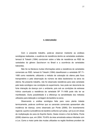 37
5. DISCUSSÃO
Com o presente trabalho, pode-se observar mediante as análises
sorológicas realizadas, a ausência de resistência dentre as variedades avaliadas.
Iamauti & Tokeshi (1994) concluíram sobre a falta de resistência ao RSD de
variedades do gênero Saccharum no Brasil e a ocorrência de variedades
tolerantes.
Não há na literatura muitas informações sobre a resistência de variedades
comerciais ao RSD. Iamauti & Tokeshi (1994) classificaram a variedade SP 71-
1406 como resistente, utilizando o método de coloração do xilema pelo fluxo
transpiratório e pela observação do número de talos bacterianos na seiva do
xilema. No presente trabalho, não foi observada resistência para esta variedade
pelo teste sorológico nas condições do experimento. Isso pode ser decorrente da
forte interação da doença com o ambiente, pois sob as condições de estresse
hídrico acentuado a resistência da variedade SP 71-1406 pode não ter se
manifestado. Outra possibilidade é a diferença na sensibilidade dos métodos
utilizados para detecção e contagem da bactéria na seiva.
Observando a análise sorológica feita para cana planta tratada
termicamente, pode-se confirmar que os canaviais comerciais apresentam alta
incidência de doença, como observado por Ponte (2006). Em levantamento
regional, quanto à prevalência da bactéria Leifsonia xyli subsp. xyli (Lxx) em áreas
de multiplicação de cana do Espírito Santo, Oeste mineiro e Sul da Bahia, Ponte
(2006) observou que, em 2004, 70,45% da área amostrada estava infectada com
a Lxx. Como a maior parte das mudas utilizadas na região litorânea provêem de
 