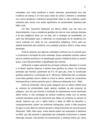 41
variedades com maior tendência a serem tolerantes apresentarão uma alta
incidência de doença e um bom peso médio do colmo e diâmetro e variedades
com menor tendência a tolerância apresentarão baixa ou alta incidência, porém
suficiente para causar uma queda significativa na produtividade, expressa pelo
PMC e DIA.
Um fator importante destacado por Moura (2004), que não deve ser
desconsiderado, é que a resistência genética da cana as mais variáveis doenças
é do tipo poligênica. Essa, por um lado, tem a vantagem da durabilidade, por
outro traz dificuldades para o melhorista na incorporação de tal resistência em
novos materiais em razão de sua característica poligênica. Como pode ser
afetada fortemente pelo ambiente, uma avaliação precisa é difícil e muitas vezes
demorada.
Pode-se observar que algumas variedades contituem de um parental para
o cruzamento e formação de outra variedade. Essas variedades mostram valores
para as variáveis próximos e na classificação quanto à tolerância ficam no mesmo
grupo, o que dificulta também a classificação das mesmas.
Verificando a origem parental dos principais cultivares utilizados no mundo
e no Brasil, pode-se observar a estreita base genética da cultura. Os cultivares
plantados são híbridos, geralmente de 6° a 10° gera ção, onde na constituição
genética predomina a contribuição de S. offcinarum. Melhoristas têm se baseado
numa base genética comum obtida no início do século, através de cruzamentos
interespecíficos e retrocruzamento para S. officinarum (Matsuoka et al., 1999).
Como já comentado, não se pode assegurar que os valores obtidos para
as variáveis de produtividade sejam apenas resultado da alta presença do
patógeno, uma vez que durante a condução do experiemento houve acentuado
déficit hídrico. A não correlação da variável incidência média com as demais
variáveis estudadas pode ser decorrente dos efeitos do ambiente no período do
estudo. Sabe-se que com o déficit hídrico o efeito do RSD se intensifica e,
conseqüentemente, podem ser facilmente distinguidos, porém a falta excessiva
de água no solo afeta de maneira decisiva o desenvolvimento da cana-de-açúcar
(Reichardt, 1996). Além disso, outros fatores podem ser associados à tolerância
ao RSD, que não somente a capacidade das variedades contornarem a simples
obstrução vascular, mas também de compensarem o estresse hídrico por outros
 