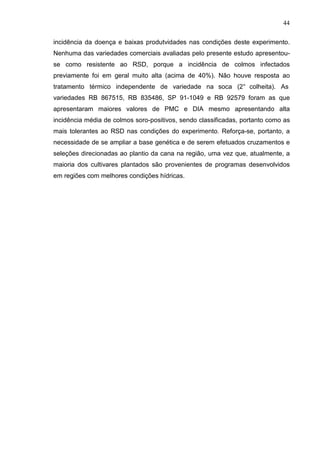 44
incidência da doença e baixas produtvidades nas condições deste experimento.
Nenhuma das variedades comerciais avaliadas pelo presente estudo apresentou-
se como resistente ao RSD, porque a incidência de colmos infectados
previamente foi em geral muito alta (acima de 40%). Não houve resposta ao
tratamento térmico independente de variedade na soca (2° colheita). As
variedades RB 867515, RB 835486, SP 91-1049 e RB 92579 foram as que
apresentaram maiores valores de PMC e DIA mesmo apresentando alta
incidência média de colmos soro-positivos, sendo classificadas, portanto como as
mais tolerantes ao RSD nas condições do experimento. Reforça-se, portanto, a
necessidade de se ampliar a base genética e de serem efetuados cruzamentos e
seleções direcionadas ao plantio da cana na região, uma vez que, atualmente, a
maioria dos cultivares plantados são provenientes de programas desenvolvidos
em regiões com melhores condições hídricas.
 