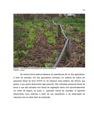 157
FOTO 3 – SISTEMA DE IRRIGAÇÃO DA HORTA MANDALA.
FONTE: o autor
Da mesma forma pode-se destacar as experiências de um dos agricultores,
a título de exemplo. Um dos agricultores conheceu um sistema de cultivo em
pequenas faixas de terra (FOTO 5). Ao observar esse sistema, ele afirmou que
gostou e que queria desenvolver algo parecido. São cultivadas pequenas faixas de
terras e que são cercadas com faixas de vegetação nativa com aproximadamente
um metro de largura, as quais, o agricultor chama de restingas. O agricultor
desenvolveu seus sistemas a partir de sua experiência, e da observação da
natureza e de um saber fazer do camponês.
 