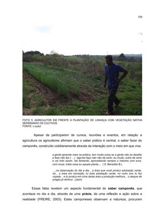 159
FOTO 5: AGRICULTOR EM FRENTE A PLANTAÇÃO DE LINHAÇA COM VEGETAÇÃO NATIVA
SEPARANDO OS CULTIVOS.
FONTE: o autor
Apesar de participarem de cursos, reuniões e eventos, em relação a
agricultura os agricultores afirmam que o saber prático é central, o saber fazer do
camponês, construído cotidianamente através da interação com o meio em que vive.
a gente aprende mais na prática, tem muita coisa se a gente não se desafia
a faze não faz (….) alguma faço não não dá certo, eu mudo, outra dá certo
e vai indo assim. Vai tentando, aproveitando sempre o máximo com erva,
com cinza, tratar essa eu aquela planta... ( S. Benedito B.)
….na observação do dia a dia... a área que você produz adubação verde,
né... a área em transição, tu bota adubação verde, no outro ano tu faz
roçada... e tu produz em cima desta área a produção melhora... o ataque de
pragas já diminui.. (Jacir)
Essas falas revelam um aspecto fundamental do saber camponês, que
acontece no dia a dia, através de uma práxis, de uma reflexão e ação sobre a
realidade (FREIRE, 2003). Estes camponeses observam a natureza, procuram
 