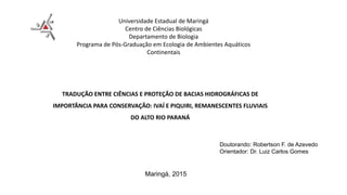 TRADUÇÃO ENTRE CIÊNCIAS E PROTEÇÃO DE BACIAS HIDROGRÁFICAS DE
IMPORTÂNCIA PARA CONSERVAÇÃO: IVAÍ E PIQUIRI, REMANESCENTES FLUVIAIS
DO ALTO RIO PARANÁ
Universidade Estadual de Maringá
Centro de Ciências Biológicas
Departamento de Biologia
Programa de Pós-Graduação em Ecologia de Ambientes Aquáticos
Continentais
Doutorando: Robertson F. de Azevedo
Orientador: Dr. Luiz Carlos Gomes
Maringá, 2015
 