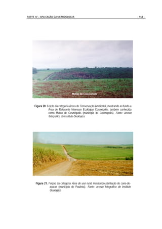 PARTE IV – APLICAÇÃO DA METODOLOGIA                                                        - 153 -




     Figura 20. Feição da categoria Áreas de Conservação Ambiental, mostrando ao fundo a
                 Área de Relevante Interesse Ecológico Cosmópolis, também conhecida
                 como Matão de Cosmópolis (município de Cosmópolis). Fonte: acervo
                 fotográfico do Instituto Geológico.




      Figura 21. Feição da categoria Área de uso rural, mostrando plantação de cana-de-
                  açúcar (município de Paulínia). Fonte: acervo fotográfico do Instituto
                  Geológico.
 