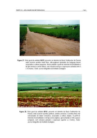 PARTE IV – APLICAÇÃO DA METODOLOGIA                                                                - 164 -




 Figura 27. Vista geral da unidade BCP2, presente no domínio da Bacia Sedimentar do Paraná,
             onde ocorrem arenitos muito finos, silto-argilosos laminados do Subgrupo Itararé,
             associados a colinas pequenas. Nesta unidade o perfil de materiais inconsolidados é
             do tipo arenoso a areno-siltoso, com estrutura maciça e espessuras variando entre 5
             e 10 metros. Fonte: acervo fotográfico do Instituto Geológico.




   Figura 28. Vista geral da unidade BFA1, presente no domínio da Bacia Sedimentar do
              Paraná, onde ocorrem arenitos pelíticos, lamitos arenosos e arenitos finos mal
              selecionados de idade Cenozóica, associados a colinas amplas. O perfil de
              materiais inconsolidados é do tipo areno-argiloso, apresentando-se fofo a pouco
              compacto, com estrutura granular e espessura superior a 2 metros. Fonte:
              acervo fotográfico do Instituto Geológico.
 
