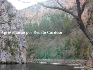 Apresentação por Renato Cardoso 