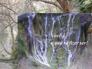 Você é o que se fizer ser! 