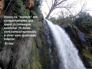 Dizem os "experts" em comportamento que, quem já consegue assimilar 10 delas, com certeza aprendeu a viver com qualidade interior. Ei-las: 