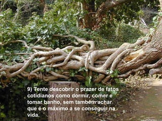 9) Tente descobrir o prazer de fatos cotidianos como dormir, comer e tomar banho, sem também achar que é o máximo a se conseguir na vida. 