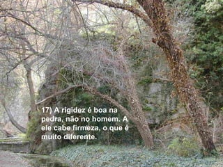 17) A rigidez é boa na
pedra, não no homem. A
ele cabe firmeza, o que é
muito diferente.
 