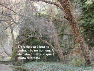 17) A rigidez é boa na 
pedra, não no homem. A 
ele cabe firmeza, o que é 
muito diferente. 
 
