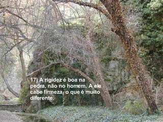 17) A rigidez é boa na pedra, não no homem. A ele cabe firmeza, o que é muito diferente. 