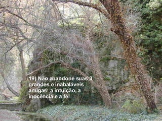 19) Não abandone suas 3 grandes e inabaláveis amigas: a intuição, a inocência e a fé! 