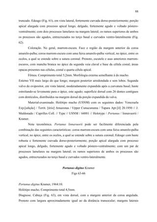88

truncado. Edeago (Fig. 61), em vista lateral, fortemente curvada dorso-posteriormente; porção
apical alargada com processo apical longo, delgado, fortemente agudo e voltado póstero-
ventralmente; com dois processos lamelares na margem lateral; os ramos superiores de ambos
os processos são agudos, entrecruzados no terço basal e curvados ventro-lateralmente (Fig.
62).
       Coloração. No geral, marrom-escura. Face e região da margem anterior da coroa
amarelo-palha; coroa marrom-escura com uma faixa amarelo-palha vertical, no ápice, entre os
ocelos, a qual se estende sobre a sutura coronal. Pronoto, escutelo e asas anteriores marrom-
escuros, com mancha branca no ápice da segunda veia claval e base da célula costal; áreas
opacas presentes nas células, costal e quarta célula apical.
       Fêmea. Comprimento total 5,2mm. Morfologia externa semelhante à do macho.
Esterno VII mais largo do que longo; margem posterior arredondada e sem lobos. Segunda
valva do ovipositor, em vista lateral, moderadamente expandida após a curvatura basal; haste
estreitando-se levemente para o ápice, este agudo; superfície dorsal com 26 dentes contíguos
com dentículos, distribuídos na margem dorsal da porção expandida da valva.
       Material-examinado. Holótipo macho (USNM) com os seguintes dados: Venezuela
Exp.[edição] / Territ. [ório] Amazonas / Upper Cunucunuma / Tapara Apr.[il] 20.1950 // J.
Maldonado / Caprilles Coll. // Type // USNM / 64881 // Holotype / Portanus / linnavuorii /
Kramer.
       Nota taxonômica. Portanus linnavuorii pode ser facilmente diferenciada pela
combinação das seguintes características: coroa marrom-escura com uma faixa amarelo-palha
vertical, no ápice, entre os ocelos, a qual se estende sobre a sutura coronal; Edeago com haste
robusta e fortemente curvada dorso-posteriormente; porção apical alargada com processo
apical longo, delgado, fortemente agudo e voltado póstero-ventralmente; com um par de
processos lamelares na margem lateral; os ramos superiores de ambos os processos são
agudos, entrecruzados no terço basal e curvados ventro-lateralmente.


                                   Portanus digitus Kramer
                                           Figs 63-66


Portanus digitus Kramer, 1964:10.
Holótipo macho. Comprimento total 4,5mm.
Diagnose. Cabeça (Fig. 63), em vista dorsal, com a margem anterior da coroa angulada.
Pronoto com largura aproximadamente igual ao da distância transocular; margens laterais
 