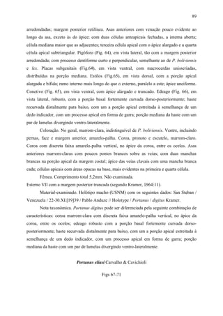 89

arredondadas; margem posterior retilínea. Asas anteriores com venação pouco evidente ao
longo da asa, exceto às do ápice; com duas células anteapicais fechadas, a interna aberta;
célula mediana maior que as adjacentes; terceira célula apical com o ápice alargado e a quarta
célula apical subtriangular. Pigóforo (Fig. 64), em vista lateral, tão com a margem posterior
arredondada; com processo dentiforme curto e perpendicular, semelhante ao de P. boliviensis
e lex. Placas subgenitais (Fig.64), em vista ventral, com macrocerdas unisseriadas,
distribuídas na porção mediana. Estilos (Fig.65), em vista dorsal, com a porção apical
alargada e bífida; ramo interno mais longo do que o externo, paralelo a este; ápice unciforme.
Conetivo (Fig. 65), em vista ventral, com ápice alargado e truncado. Edeago (Fig. 66), em
vista lateral, robusto, com a porção basal fortemente curvada dorso-posteriormente; haste
recurvada distalmente para baixo, com um a porção apical estreitada à semelhança de um
dedo indicador, com um processo apical em forma de garra; porção mediana da haste com um
par de lamelas divergindo ventro-lateralmente.
       Coloração. No geral, marrom-clara, indistinguível de P. boliviensis. Ventre, incluindo
pernas, face e margem anterior, amarelo-palha. Coroa, pronoto e escutelo, marrom-claro.
Coroa com discreta faixa amarelo-palha vertical, no ápice da coroa, entre os ocelos. Asas
anteriores marrom-claras com poucos pontos brancos sobre as veias; com duas manchas
brancas na porção apical da margem costal; ápice das veias clavais com uma mancha branca
cada; células apicais com áreas opacas na base, mais evidentes na primeira e quarta célula.
       Fêmea. Comprimento total 5,2mm. Não examinada.
Esterno VII com a margem posterior truncada (segundo Kramer, 1964:11).
       Material-examinado. Holótipo macho (USNM) com os seguintes dados: San Steban /
Venezuela / 22-30.XI.[19]39 / Pablo Anduze // Holotype / Portanus / digitus Kramer.
       Nota taxonômica. Portanus digitus pode ser diferenciada pela seguinte combinação de
características: coroa marrom-clara com discreta faixa amarelo-palha vertical, no ápice da
coroa, entre os ocelos; edeago robusto com a porção basal fortemente curvada dorso-
posteriormente; haste recurvada distalmente para baixo, com um a porção apical estreitada à
semelhança de um dedo indicador, com um processo apical em forma de garra; porção
mediana da haste com um par de lamelas divergindo ventro-lateralmente.


                           Portanus eliasi Carvalho & Cavichioli

                                          Figs 67-71
 