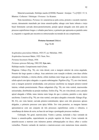 92

       Material-examinado. Holótipo macho (USNM): Panamá / Arraijan / 7.x.[19]52 // F. S.
Blanton / Collector // Holotype / Portanus / lex Kramer.
       Nota taxonômica. Portanus lex caracteriza-se pela coroa, pronoto e escutelo marrom-
escuro, densamente manchado por áreas amarelo-palha; edeago com haste robusta e terço
basal fortemente curvada dorso-posteriormente; porção apical alargada com dois pares de
processo espiniformes longos e voltados para baixo; o primeiro par apresenta-se paralelo entre
si, enquanto o segundo par encontra-se entrecruzados na metade do seu comprimento.


                                 Portanus hasemani (Baker)
                                          Figs 76-80



Scaphoideus punctulatus Osborn, 1923:37, nec Melichar, 1903.
Scaphoideus hasemani Baker, 1923. Nom. Nov.
Portanus hasemani; Oman, 1936
Portanus spinosus DeLong, 1982:392. Syn. nov..
Holótipo macho. Comprimento total 4,5mm.
Diagnose. Cabeça (Fig. 76), em vista dorsal, com a margem anterior da coroa angulada.
Pronoto tão largo quanto a cabeça. Asas anteriores com venação evidente; com duas células
anteapicais fechadas, a interna aberta; célula mediana mais longa que as adjacentes; terceira
célula apical com ápice alargado e a quarta subtriangular. Pigóforo (Fig. 77), em vista lateral,
com a margem posterior arredondada; com processo unciforme na margem póstero-ventral
interna, voltado posteriormente. Placas subgenitais (Fig. 78), em vista ventral, macrocerdas
unisseriadas, distribuídas na porção mediana. Estilos (Fig. 79), em vista dorsal, com a porção
apical alargada e bífida; ramo interno mais longo do que o externo, paralelo a este; ápice
unciforme. Conetivo (Fig. 79), em vista ventral, com ápice alargado e truncado. Edeago (Figs.
80, 81), em vista lateral, curvada póstero-ventralmente; ápice com três processos apicais
delgados, o primeiro processo com ápice bífido. Em vista posterior, as margens laterais
apresentam-se com um conjunto de três processos espiniformes curtos e robustos, à
semelhança de dentes de serra, na base de um longo e pontiagudo processo mediano.
       Coloração. No geral, marrom-clara. Ventre e pernas, incluindo a face variando de
branco a amarelo-palha, especialmente na porção superior da fronte. Coroa variando de
amarelo-escura a marrom com inúmeros pontos esbranquiçados no disco; olhos e ocelos
vermelhos. Pronoto variando de marrom a marrom-escuro com numerosas áreas amarelo-
 