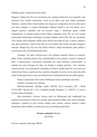 95

Holótipo macho. Comprimento total 4,8mm.

Diagnose. Cabeça (Fig. 87), em vista dorsal, com a margem anterior da coroa angulada. Asas
anteriores com venação evanescente, exceto as do ápice; com duas células anteapicais
fechadas, a interna aberta; célula mediana mais longa que as adjacentes; terceira célula apical
com ápice alargado, e a quarta subtriangular. Pigóforo (Fig.88 ), em vista lateral, com a
margem posterior angulada; com um processo longo e fortemente agudo, voltado
medianamente na margem póstero-ventral. Placas subgenitais (Fig. 89), em vista ventral,
macrocerdas unisseriadas, distribuídas na porção mediana. Estilos (Fig. 90), em vista dorsal,
com a porção apical alargada e bífida; ramo interno mais longo do que o externo, paralelo a
este; ápice unciforme. Conetivo (Fig. 90), em vista ventral, haste longa com ápice alargado e
truncado. Edeago (Fig. 91), em vista lateral, lamelar e aberta dorsalmente; ápice afilado e
curvado para cima; com distinta porção basal.

       Coloração. No geral, marrom-escura com inúmeras manchas brancas ou amarelo-
palha. Ventre, incluindo, pernas e face, amarelo-palha. Coroa, pronoto e escutelo variando de
preto a marrom-escuro, densamente manchados por áreas disformes amarelo-palha; as
manchas da coroa divergem do ápice em direção à margem posterior. Asas anteriores
marrom-escuras; veias densamente manchadas de branco; metade basal da veia costa com
estreita faixa branca, seguida por duas manchas alongadas de mesma cor na altura da célula
costal. Porção apical mais escura com distintas áreas translúcidas na base das células apicais.

       Fêmea. Comprimento total 5,6mm. Morfologia externa semelhante à do macho.
       Genitália. Exemplar sem o abdome.
       Material-examinado. Holótipo macho (DZUP): Nova Xavantina MT / Brasil
26.VI.[19]98 / Barreira, R. L. Col. / Lâmpada cerradão. Parátipos, 1♀, 18.IX.97, 2♂, com os
mesmos dados do holótipo.
       Nota taxonômica. Portanus lineatus pode ser diferenciada pela combinação das
seguintes características: Estilo com a porção apical alargada e bífida; ramo interno alongado,
unciforme e paralelo ao ramo externo; edeago curto, robusto, sinuoso, lamelar e aberto
dorsalmente; ápice afilado e curvado para cima; com distinta porção basal.


                                Portanus cephalatus DeLong
                                          Figs 92-96


Portanus cephalatus DeLong, 1980:82.
 