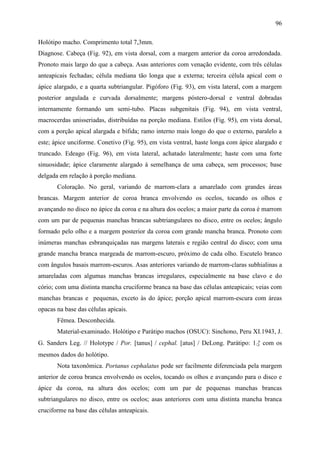 96

Holótipo macho. Comprimento total 7,3mm.
Diagnose. Cabeça (Fig. 92), em vista dorsal, com a margem anterior da coroa arredondada.
Pronoto mais largo do que a cabeça. Asas anteriores com venação evidente, com três células
anteapicais fechadas; célula mediana tão longa que a externa; terceira célula apical com o
ápice alargado, e a quarta subtriangular. Pigóforo (Fig. 93), em vista lateral, com a margem
posterior angulada e curvada dorsalmente; margens póstero-dorsal e ventral dobradas
internamente formando um semi-tubo. Placas subgenitais (Fig. 94), em vista ventral,
macrocerdas unisseriadas, distribuídas na porção mediana. Estilos (Fig. 95), em vista dorsal,
com a porção apical alargada e bífida; ramo interno mais longo do que o externo, paralelo a
este; ápice unciforme. Conetivo (Fig. 95), em vista ventral, haste longa com ápice alargado e
truncado. Edeago (Fig. 96), em vista lateral, achatado lateralmente; haste com uma forte
sinuosidade; ápice claramente alargado à semelhança de uma cabeça, sem processos; base
delgada em relação à porção mediana.
       Coloração. No geral, variando de marrom-clara a amarelado com grandes áreas
brancas. Margem anterior de coroa branca envolvendo os ocelos, tocando os olhos e
avançando no disco no ápice da coroa e na altura dos ocelos; a maior parte da coroa é marrom
com um par de pequenas manchas brancas subtriangulares no disco, entre os ocelos; ângulo
formado pelo olho e a margem posterior da coroa com grande mancha branca. Pronoto com
inúmeras manchas esbranquiçadas nas margens laterais e região central do disco; com uma
grande mancha branca margeada de marrom-escuro, próximo de cada olho. Escutelo branco
com ângulos basais marrom-escuros. Asas anteriores variando de marrom-claras subhialinas a
amareladas com algumas manchas brancas irregulares, especialmente na base clavo e do
cório; com uma distinta mancha cruciforme branca na base das células anteapicais; veias com
manchas brancas e pequenas, exceto às do ápice; porção apical marrom-escura com áreas
opacas na base das células apicais.
       Fêmea. Desconhecida.
       Material-examinado. Holótipo e Parátipo machos (OSUC): Sinchono, Peru XI.1943, J.
G. Sanders Leg. // Holotype / Por. [tanus] / cephal. [atus] / DeLong. Parátipo: 1♂ com os
mesmos dados do holótipo.
       Nota taxonômica. Portanus cephalatus pode ser facilmente diferenciada pela margem
anterior de coroa branca envolvendo os ocelos, tocando os olhos e avançando para o disco e
ápice da coroa, na altura dos ocelos; com um par de pequenas manchas brancas
subtriangulares no disco, entre os ocelos; asas anteriores com uma distinta mancha branca
cruciforme na base das células anteapicais.
 