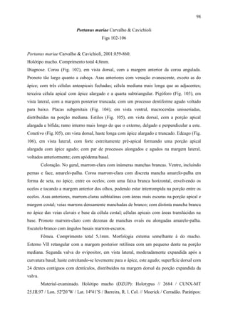98

                           Portanus mariae Carvalho & Cavichioli
                                         Figs 102-106


Portanus mariae Carvalho & Cavichioli, 2001:859-860.
Holótipo macho. Comprimento total 4,8mm.
Diagnose. Coroa (Fig. 102), em vista dorsal, com a margem anterior da coroa angulada.
Pronoto tão largo quanto a cabeça. Asas anteriores com venação evanescente, exceto as do
ápice; com três células anteapicais fechadas; célula mediana mais longa que as adjacentes;
terceira célula apical com ápice alargado e a quarta subtriangular. Pigóforo (Fig. 103), em
vista lateral, com a margem posterior truncada; com um processo dentiforme agudo voltado
para baixo. Placas subgenitais (Fig. 104), em vista ventral, macrocerdas unisseriadas,
distribuídas na porção mediana. Estilos (Fig. 105), em vista dorsal, com a porção apical
alargada e bífida; ramo interno mais longo do que o externo, delgado e perpendicular a este.
Conetivo (Fig.105), em vista dorsal, haste longa com ápice alargado e truncado. Edeago (Fig.
106), em vista lateral, com forte estreitamente pré-apical formando uma porção apical
alargada com ápice agudo; com par de processos alongados e agudos na margem lateral,
voltados anteriormente; com apódema basal.
         Coloração. No geral, marrom-clara com inúmeras manchas brancas. Ventre, incluindo
pernas e face, amarelo-palha. Coroa marrom-clara com discreta mancha amarelo-palha em
forma de seta, no ápice, entre os ocelos; com uma faixa branca horizontal, envolvendo os
ocelos e tocando a margem anterior dos olhos, podendo estar interrompida na porção entre os
ocelos. Asas anteriores, marrom-claras subhialinas com áreas mais escuras na porção apical e
margem costal; veias marrons densamente manchadas de branco; com distinta mancha branca
no ápice das veias clavais e base da célula costal; células apicais com áreas translúcidas na
base. Pronoto marrom-claro com dezenas de manchas ovais ou alongadas amarelo-palha.
Escutelo branco com ângulos basais marrom-escuros.
         Fêmea. Comprimento total 5,1mm. Morfologia externa semelhante à do macho.
Esterno VII retangular com a margem posterior retilínea com um pequeno dente na porção
mediana. Segunda valva do ovipositor, em vista lateral, moderadamente expandida após a
curvatura basal; haste estreitando-se levemente para o ápice, este agudo; superfície dorsal com
24 dentes contíguos com dentículos, distribuídos na margem dorsal da porção expandida da
valva.
         Material-examinado. Holótipo macho (DZUP): Holotypus // 2684 / CUNX-MT
25.III.97 / Lon. 52º20’W / Lat. 14º41’S / Barreira, R. l. Col. // Moerick / Cerradão. Parátipos:
 