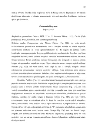 102

curta e robusta, fendida desde o ápice ao meio da haste; com par de processos pré-apicais
dentiformes, alongados e voltados anteriormente; com dois espinhos dentiformes curtos no
ápice, que é truncado.


                                   Portanus balli sp. nov.
                                         Figs 122-127


Scaphoideus punctulatus Osborn, 1923: 37 (= S. hasemani Baker, 1923). Partim (Dois
parátipos do Brasil, Rondônia, com identificação errônea).
Holótipo macho. Comprimento total 7,0mm. Cabeça (Fig. 122), em vista dorsal,
moderadamente pronunciada anteriormente com a margem anterior da coroa angulada;
comprimento mediano da coroa aproximadamente 1/3 da largura da cabeça; ocelos
localizados na margem anterior da coroa, eqüidistantes do angula anterior dos olhos e da linha
imaginária mediana; sutura coronal atingindo a metade do comprimento mediano da coroa;
fóveas tentoriais dorsais evidentes; suturas frontogenais não atingindo os ocelos; antenas
longas, ultrapassando a metade do corpo. Clípeo retangular com a margem apical retilínea.
Pronoto (Fig. 122), em vista dorsal, mais largo do que a cabeça; margens laterais
estreitamente arredondadas; margem posterior retilínea. Asas anteriores com venação
evidente; com três células anteapicais fechadas; célula mediana mais longa que as adjacentes;
terceira célula apical com o ápice alargado, e a quarta subtriangular. Apêndice ausente.
       Genitália. Pigóforo (Fig. 123), em vista lateral, levemente pronunciado com a porção
posterior truncada; macrocerdas distribuídas na porção apical; margem póstero-ventral com
processo curto e robusto voltado posteriormente. Placas subgenitais (Fig. 124), em vista
ventral, retangulares, com a porção apical retorcida e curvada para cima; com uma linha
despigmentada transversa no terço basal; macrocerdas unisseriadas, distribuídas na porção
mediana, seguidas por cerdas longas e delgadas. Estilos (Fig. 125), em vista ventral,
extremamente longo se estendendo além do ápice do conetivo; porção apical alargada e
bífida; ramo interno curto, robusto com o ápice arredondado e perpendicular ao externo.
Conetivo (Fig. 125), em vista ventral, em forma de “T”, claramente articulado ao edeago, com
um processo basiventral curto; braços curtos. Edeago (Fig. 126), em vista lateral, longo,
delgado, com distinta curvatura em forma de alça no terço basal; ápice (Fig. 127), em vista
posterior, com um par de processos espiniformes longos, bifurcados e voltados para baixo.
Gonóporo apical.
 
