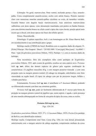103

       Coloração. No geral, marrom-clara. Parte ventral, incluindo pernas e face, amarelo-
palha. Coroa completamente amarelo-escura; ocelos com aréola branca. Pronoto marrom-
claro com numerosas manchas amarelo-palhas circulares ou ovais, de tamanhos variados.
Escutelo branco com ângulos basais marrom-escuros. Asas anteriores marrom-claras
subhialinas com áreas opacas; veias densamente manchadas com pontos ou bandas brancas;
com uma distinta mancha branca na célula costal e ápice das veias clavais; porção apical mais
escura que a discal, com áreas opacas nas bases das células apicais.
       Fêmea. Desconhecida.
       Etimologia. O epíteto específico, balli, é em homenagem ao Dr. Elmer Darwin Ball,
em reconhecimento à sua contribuição para o grupo.
       Holótipo macho (CMNH) do brasil, Rondônia com os seguintes dados de etiqueta: Ft.
[Forte] Príncipe / Rio Guaporé / Brasil // 20.VIII.1909 // Carn.[egie] Mus.[eum] / Acc4043 //
Para- / type [Scaphoideus punctulatus Osborn, 1923]. Parátipo: 1♂, com os mesmos dados do
holótipo.
       Nota taxonômica. Dois dos exemplares tidos como parátipos de Scaphoideus
punctulatus Osborn, 1923, após exame da genitália, resultou ser uma espécie nova. Portanus
balli sp. nov. difere das demais espécies do gênero pela seguinte combinação de
características: (1) pigóforo masculino (Fig. ) com margem posterior truncada e com uma
projeção curta na margem póstero-ventral; (2) edeago (a) alongado, subcilíndrico com forte
sinuosidade na região basal; (3) ápice do edeago com par de processos longos, bífidos e
voltados para baixo.
       Externamente, Portanus balli sp. nov. é semelhante a P. hasemani (Baker), podendo
ser diferenciada somente com base nas estruturas genitais.
       Portanus balli sp. nov. pode ser facilmente diferenciada de P. mariae pela forma da
projeção na margem póstero-ventral do pigóforo que, nesta espécie, é aguda, e pela presença
de uma mancha esbranquiçada em forma de seta perto do ápice da coroa, entre os ocelos.


                                 Portanus DeLongi sp. nov.
                                          Figs. 128-134


Scaphoideus punctulatus Osborn, 1923: 37 (= S. hasemani Baker, 1923). Partim (Um parátipo
da Bolívia, com identificação errônea).
Holótipo macho. Comprimento total 5mm. Coroa (Fig. 128), em vista dorsal, pronunciada
anteriormente com a margem anterior da cabeça angulada; comprimento mediano da coroa
 